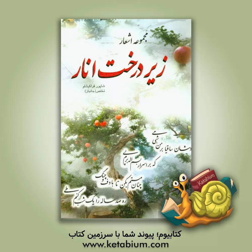 کتاب زیر درخت انار اثر شاپور قراکیشلو