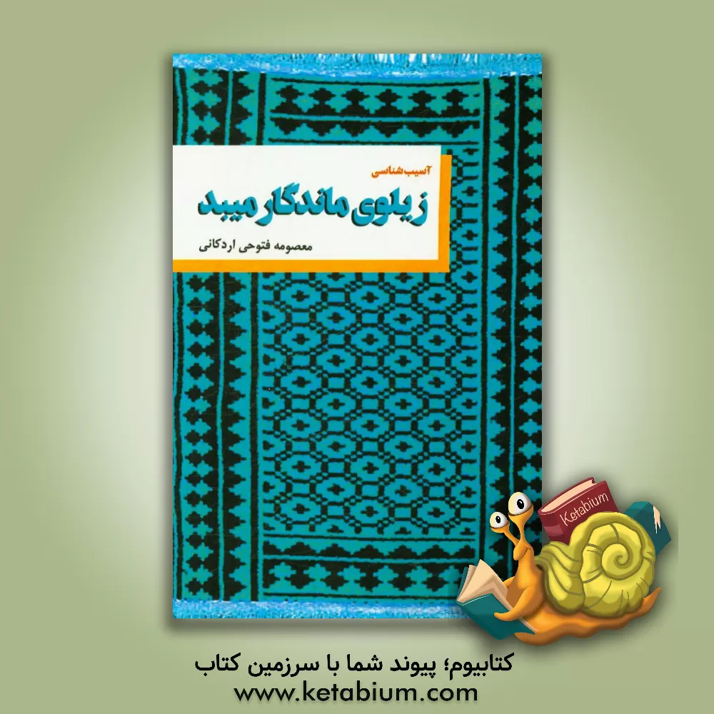 کتاب آسیب شناسی زیلوی ماندگار میبد اثر معصومه فتوحی‌اردکانی