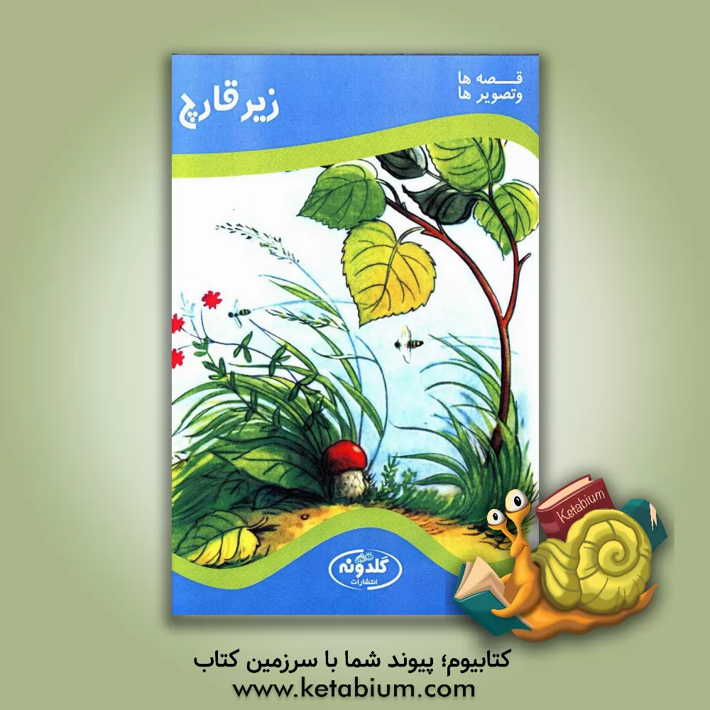 کتاب زیر قارچ اثر ولادیمیر سوتیف