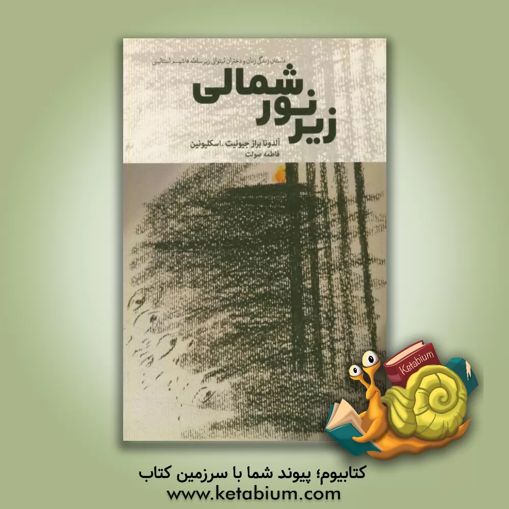 کتاب زیر نور شمالی اثر آلدونا برازجیونیت اسکلیونین