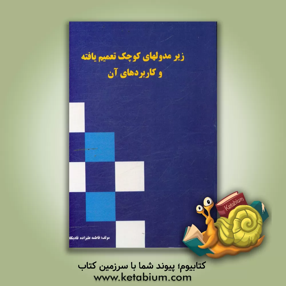 کتاب زیرمدول های کوچک تعمیم یافته و کاربردهای آن اثر فاطمه علیزاده