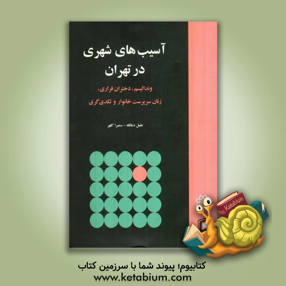 کتاب آسیب های شهری در تهران: وندالیسم، دختران فراری، زنان سرپرست خانوار و تکدی گری اثر سمیرا کلهر