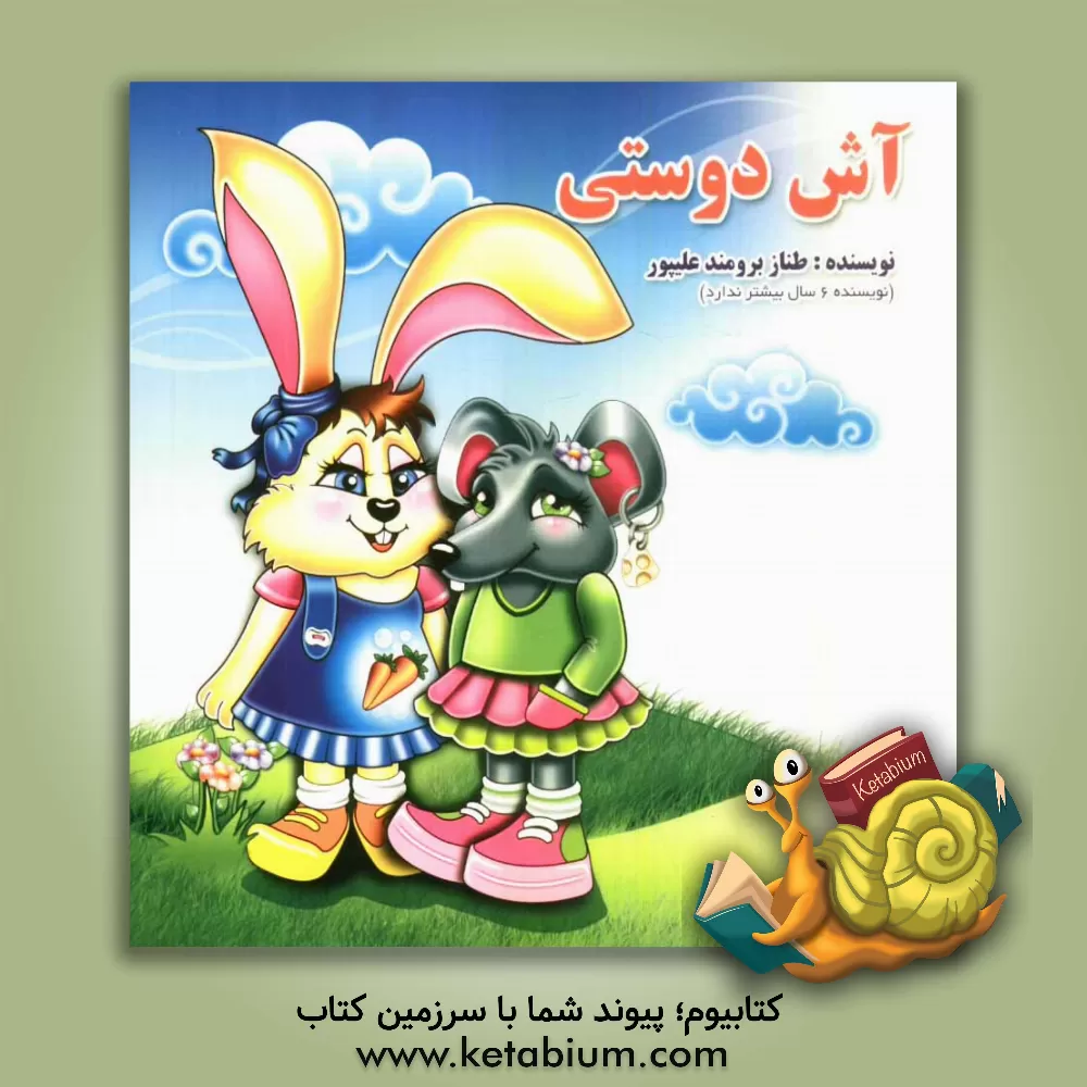 کتاب آش دوستی اثر طناز برومندعلیپور