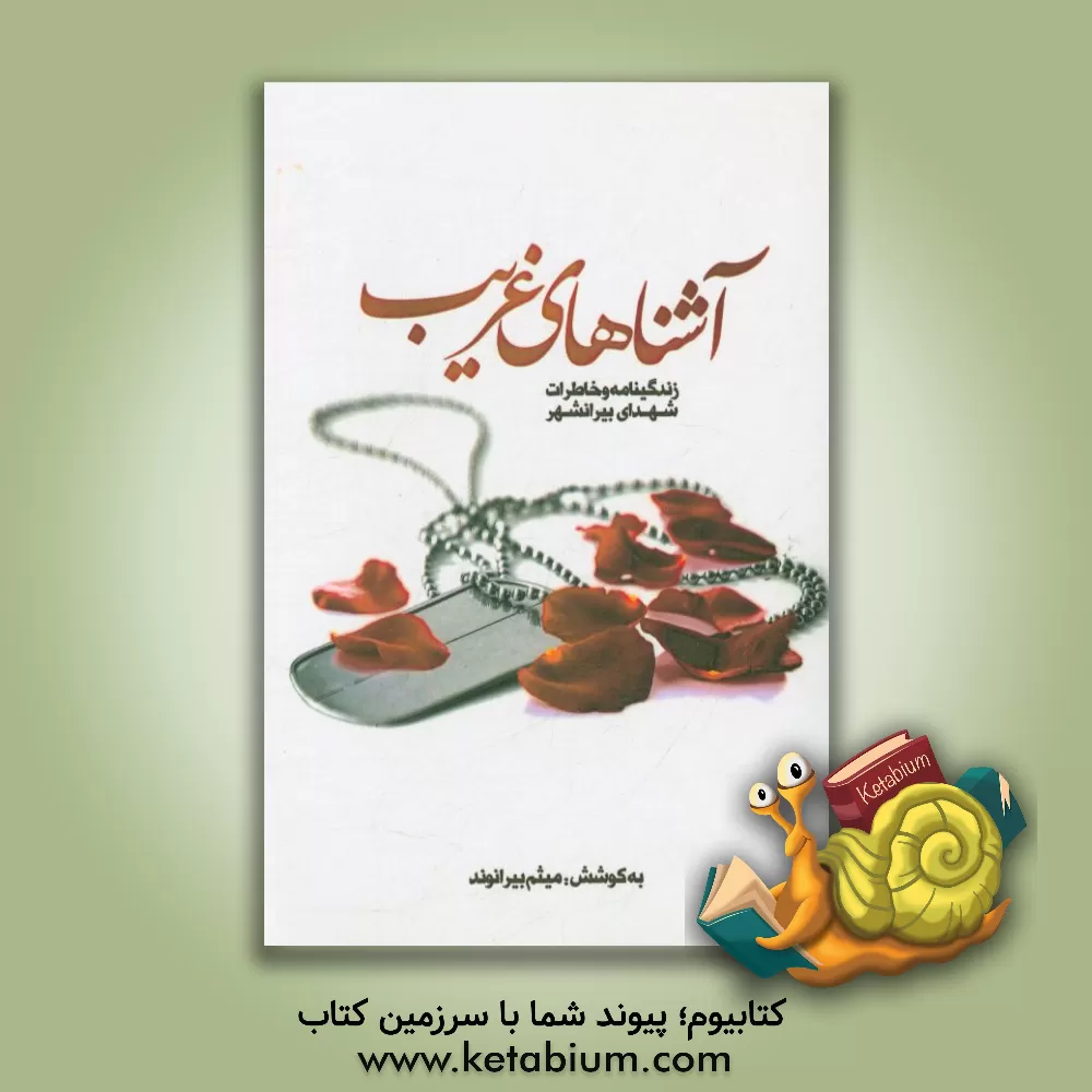 کتاب آشناهای غریب: یادنامه شهدای بخش بیرانوند اثر میثم بیرانوند