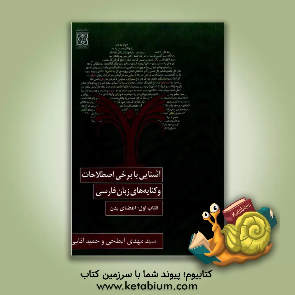 کتاب آشنایی با برخی از اصطلاحات و کنایه های زبان فارسی: کتاب اول اعضای بدن |اثر سیدمهدی ابطحی