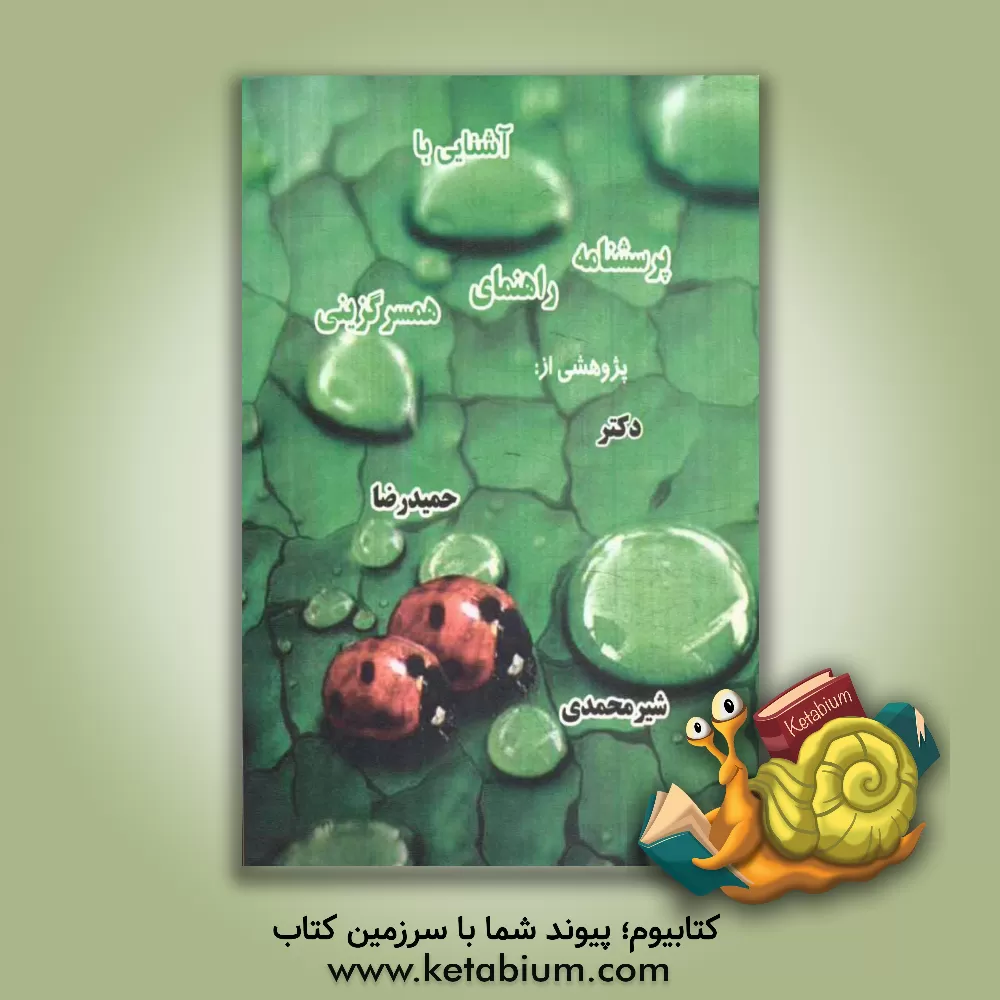 کتاب آشنایی با پرسشنامه راهنمای همسرگزینی همراه با نگاهی به هنجارهای یک ازدواج موفق اثر حمیدرضا شیرمحمدی