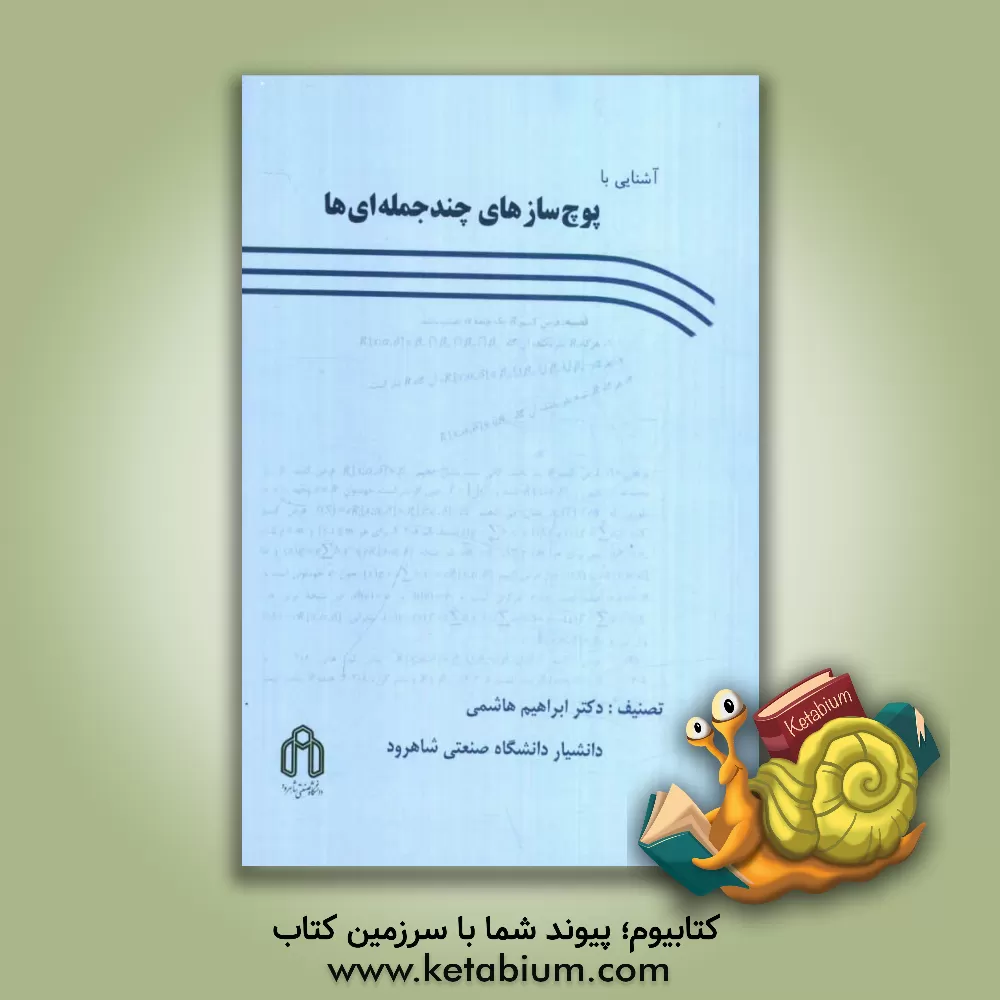 کتاب آشنایی با پوچ سازهای چندجمله ای ها اثر ابراهیم هاشمی