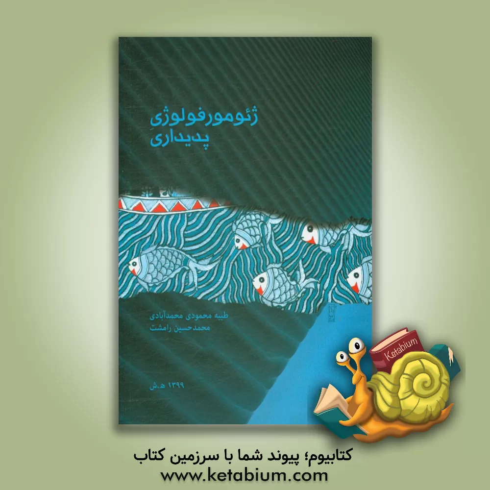 کتاب ژئومرفولوژی پدیداری اثر طیبه محمودی‌محمدآبادی