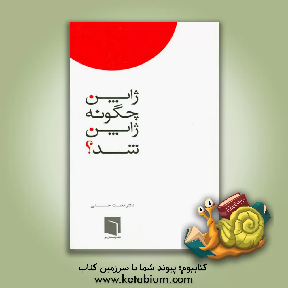 کتاب ژاپن چگونه ژاپن شد؟ اثر نعمت حسنی