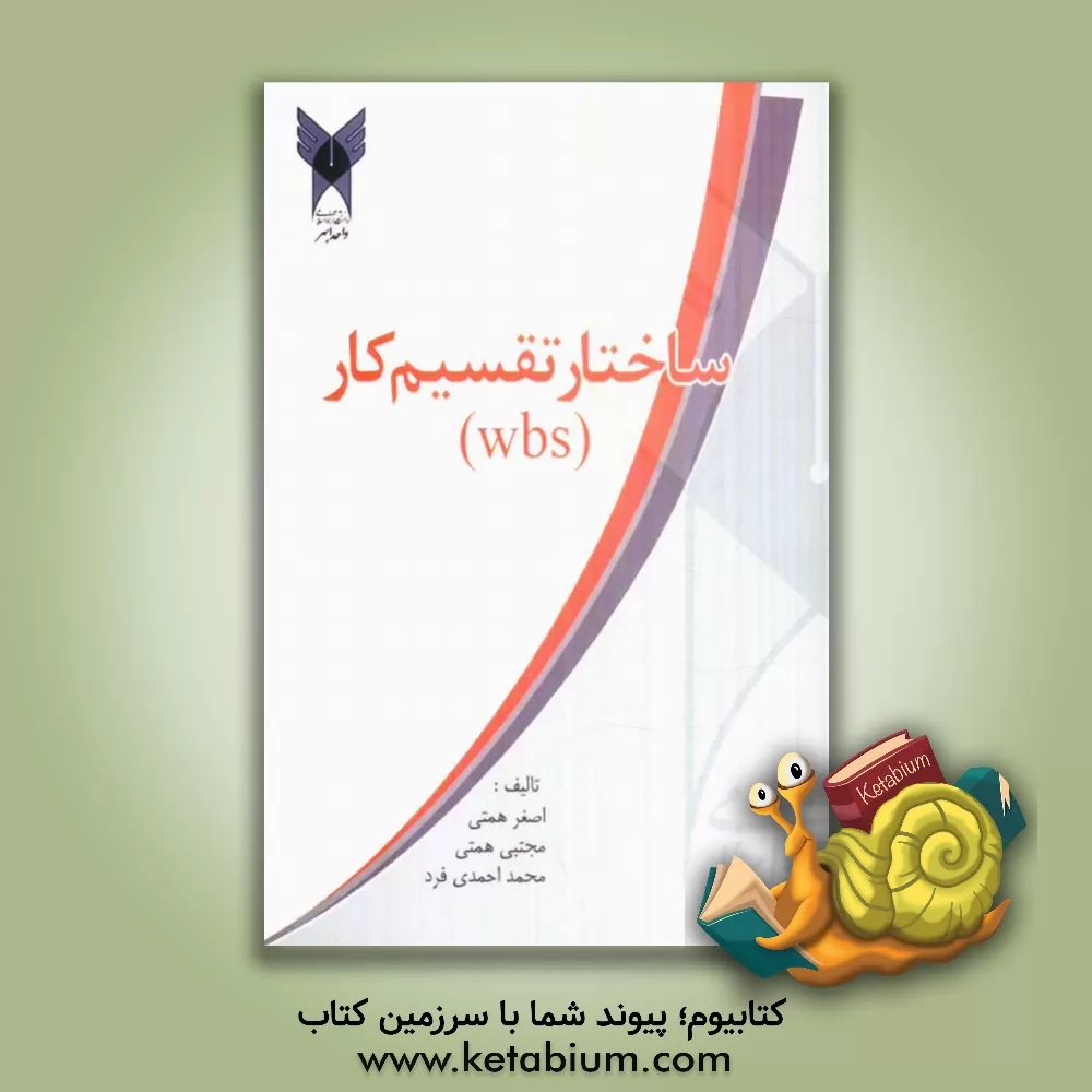 کتاب ساختار تقسیم کار اثر مجتبی همتی