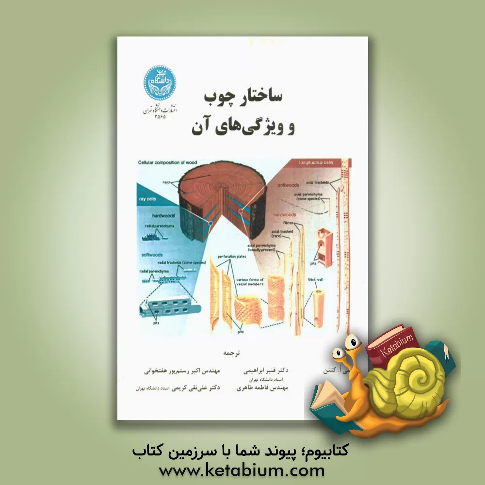 کتاب ساختار چوب و ویژگی های آن اثر پنتی اکتنن