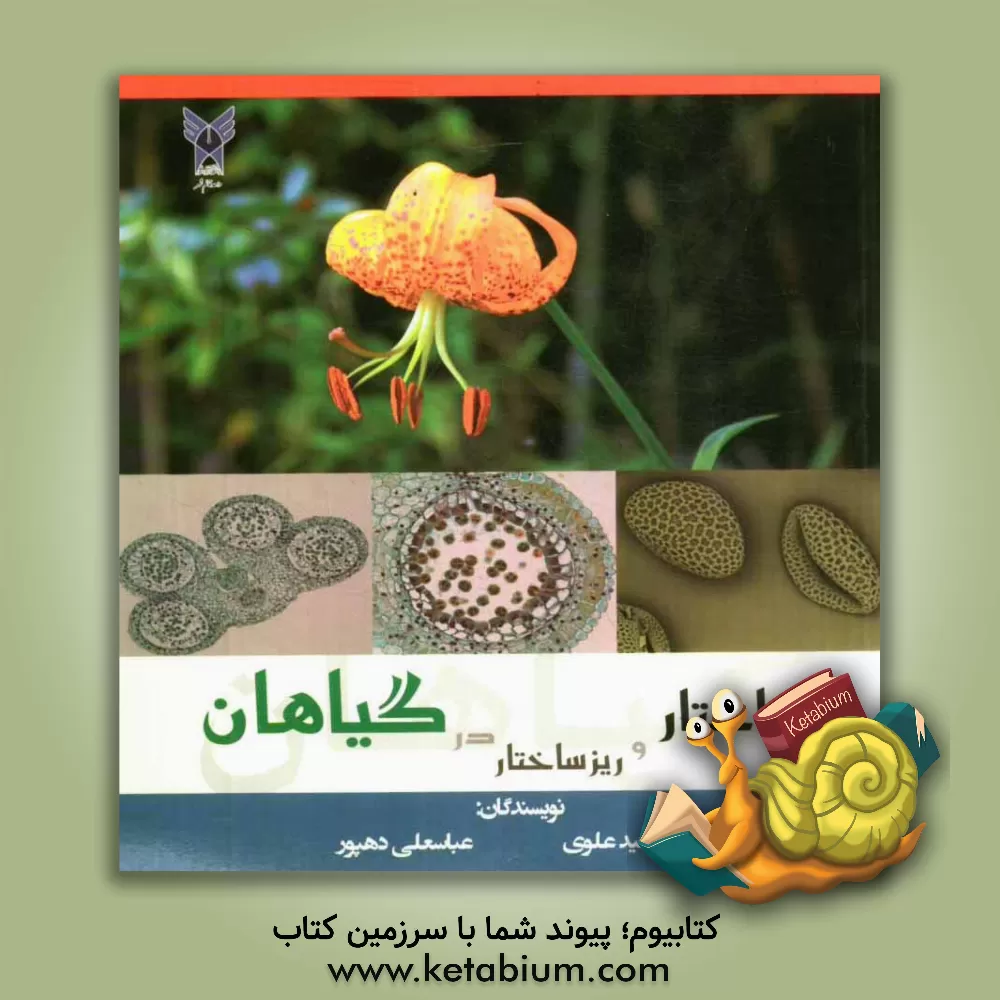 کتاب ساختار و ریزساختار در گیاهان اثر سیدوحید علوی