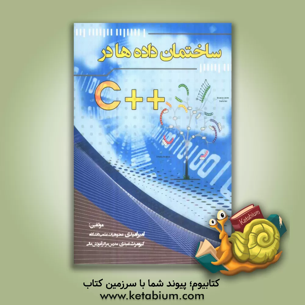 کتاب ساختمان داده ها در ++C اثر امیر امیدی