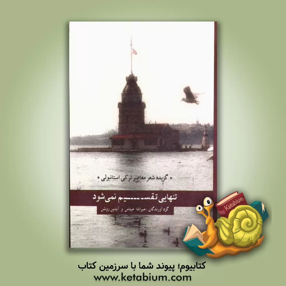 کتاب تنهایی تقسیم نمی شود: شعر معاصر ترکی (استانبولی) اثر میراندا میناس