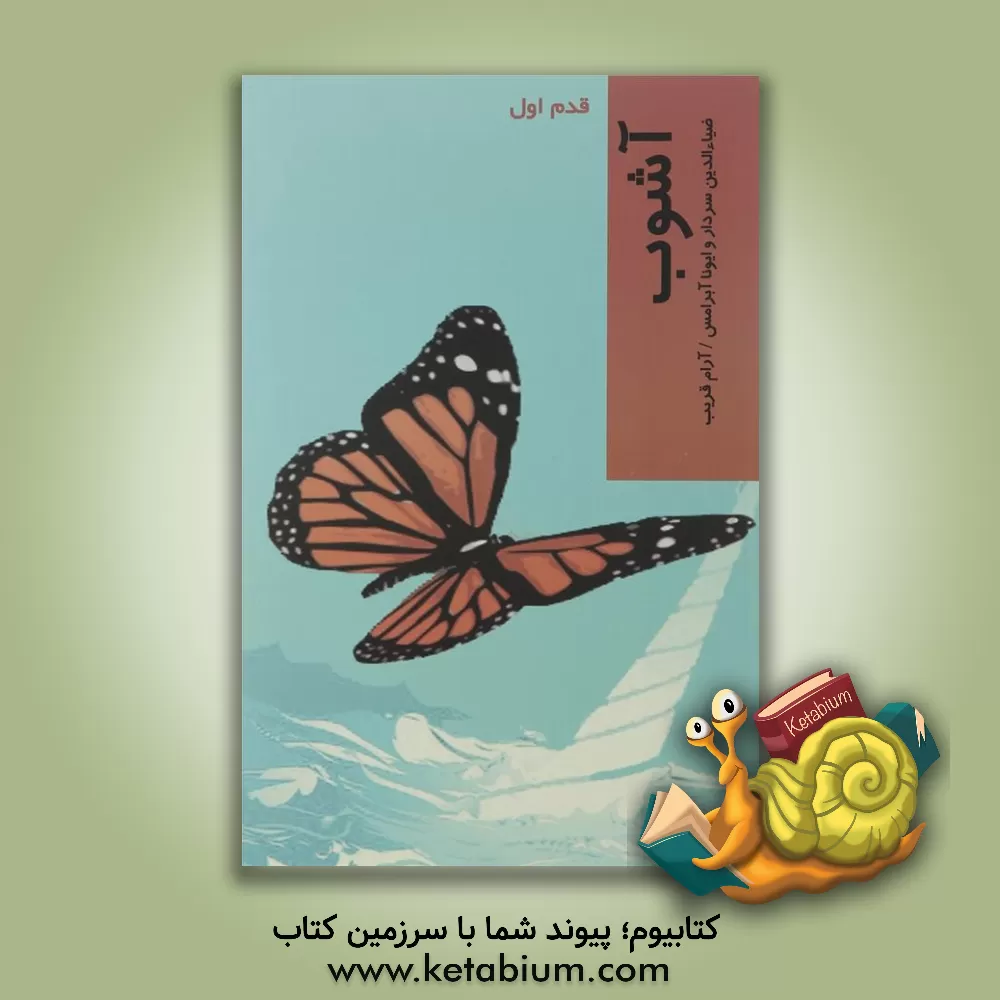 کتاب آشوب: قدم اول اثر ضیاءالدین سردار