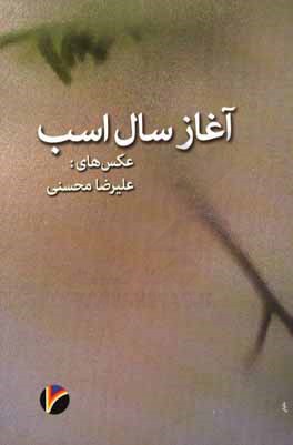 کتاب آغاز سال اسب اثر علیرضا محسنی