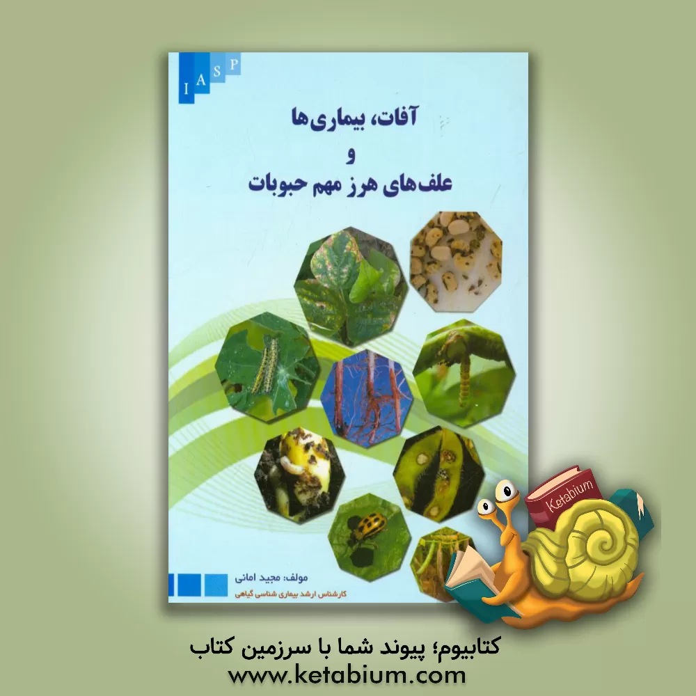 کتاب آفات، بیماری ها و علف های هرز مهم حبوبات اثر مجید امانی