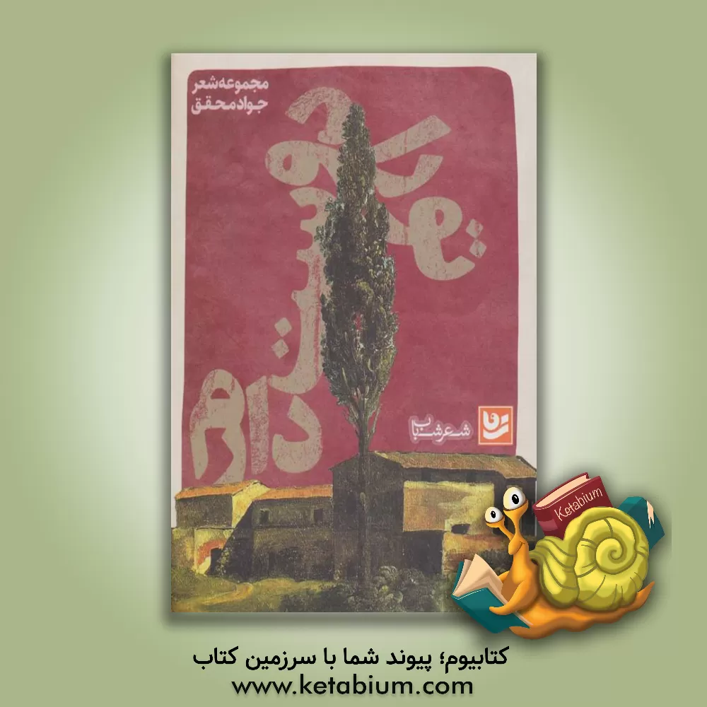 کتاب تو را دوست دارم اثر جواد محقق