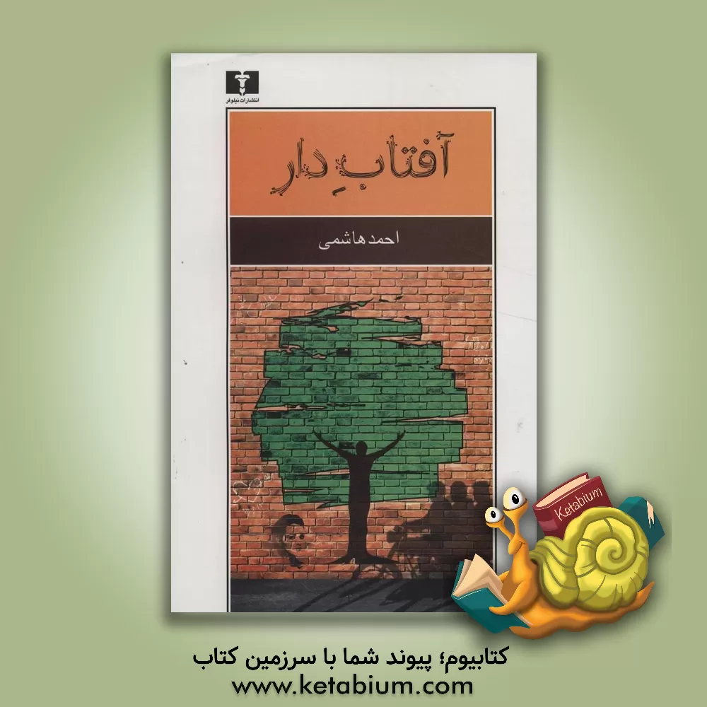 کتاب آفتاب دار اثر احمد هاشمی