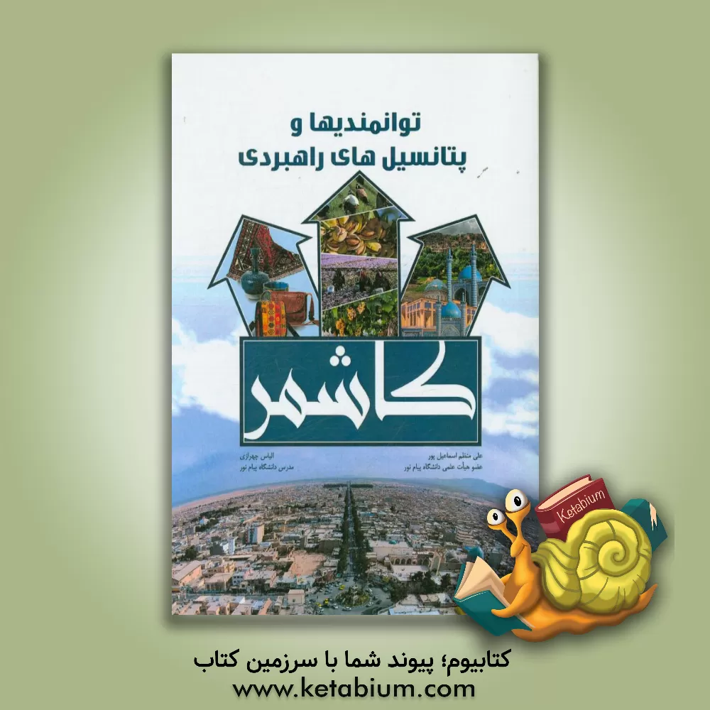 کتاب توانمندی ها و پتانسیل های راهبردی کاشمر اثر علی منظم‌اسماعیل‌پور