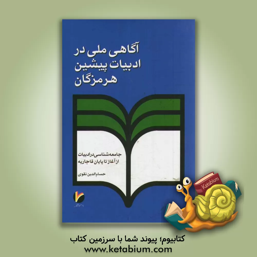 کتاب آگاهی ملی در ادبیات پیشین هرمزگان: از آغاز تا پایان قاجاریه، جامعه شناسی در ادبیات اثر حسام‌الدین نقوی