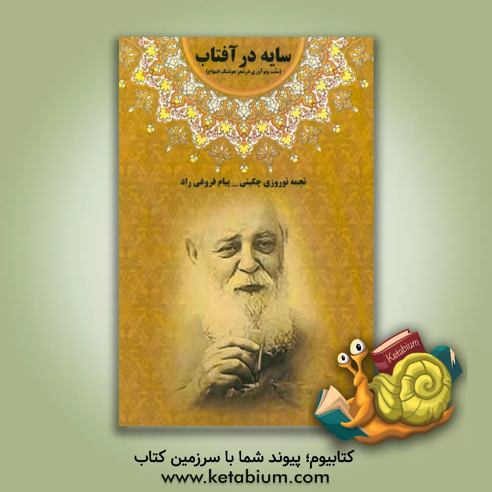 کتاب سایه در آفتاب: (سنت و نوآوری در شعر هوشنگ ابتهاج) |اثر پیام فروغی راد