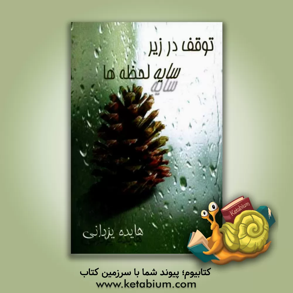 کتاب توقف در زیر سایه لحظه ها اثر هایده یزدانی