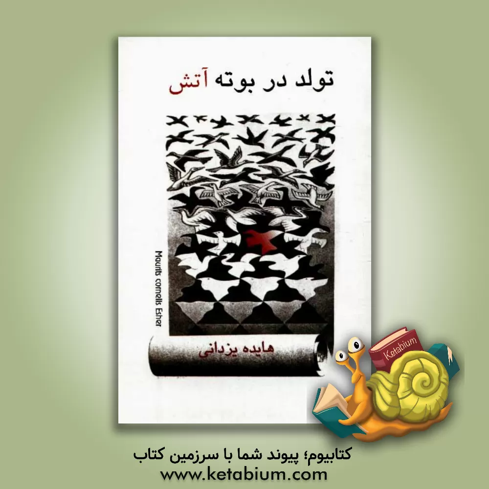 کتاب تولد در بوته آتش اثر هایده یزدانی