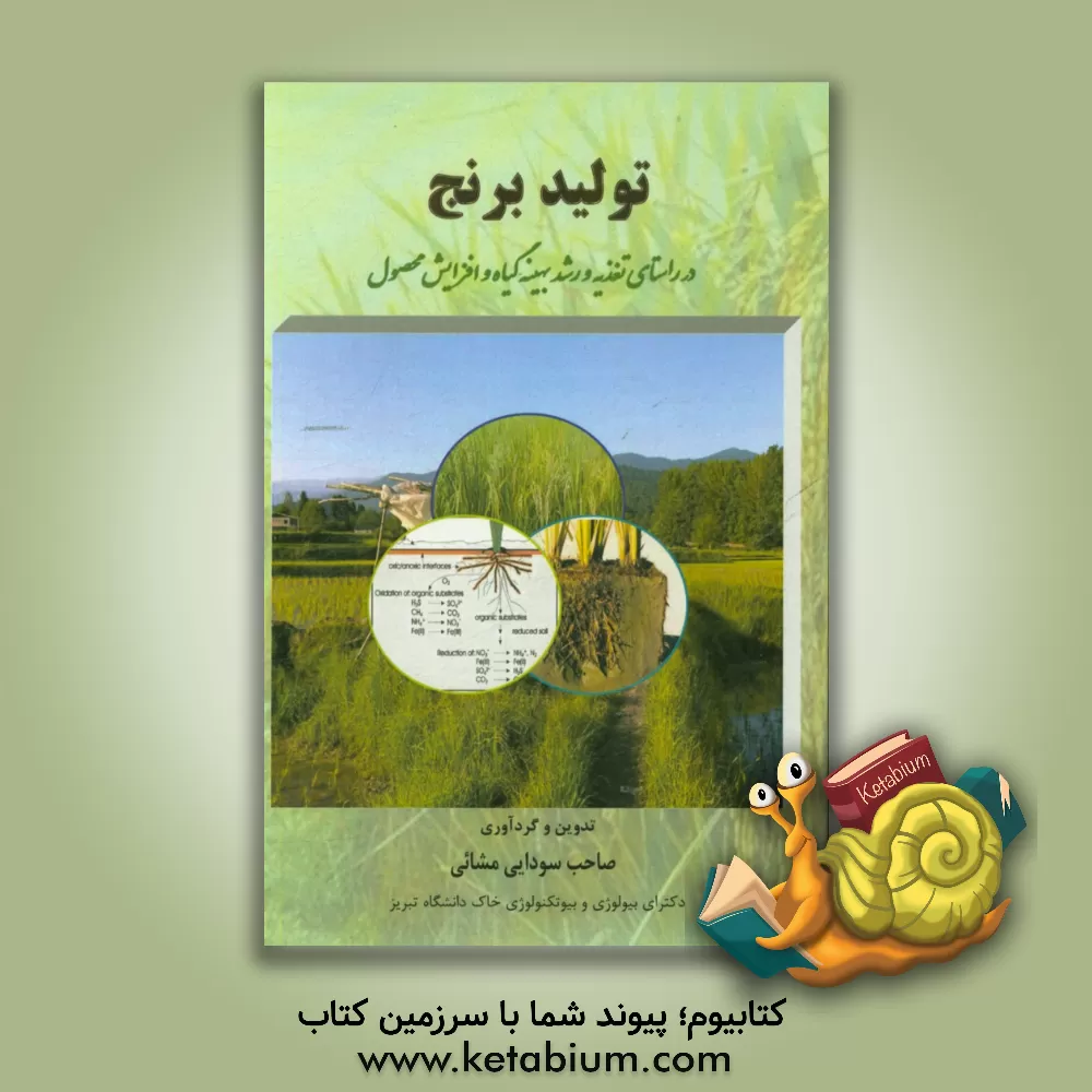 کتاب تولید برنج: در راستای تغذیه و رشد بهینه گیاه و افزایش محصول اثر صاحب سودایی‌مشائی