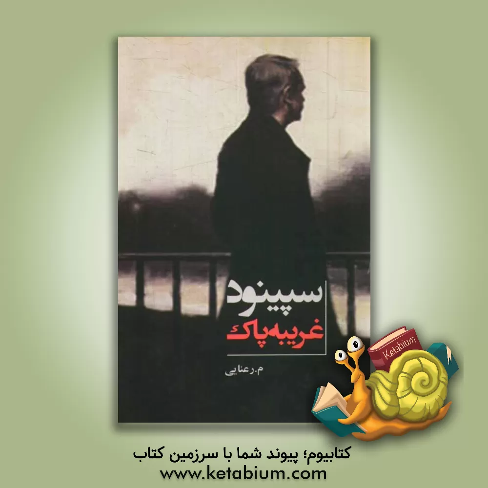 کتاب سپینود "غریبه پاک" اثر مریم رعنایی