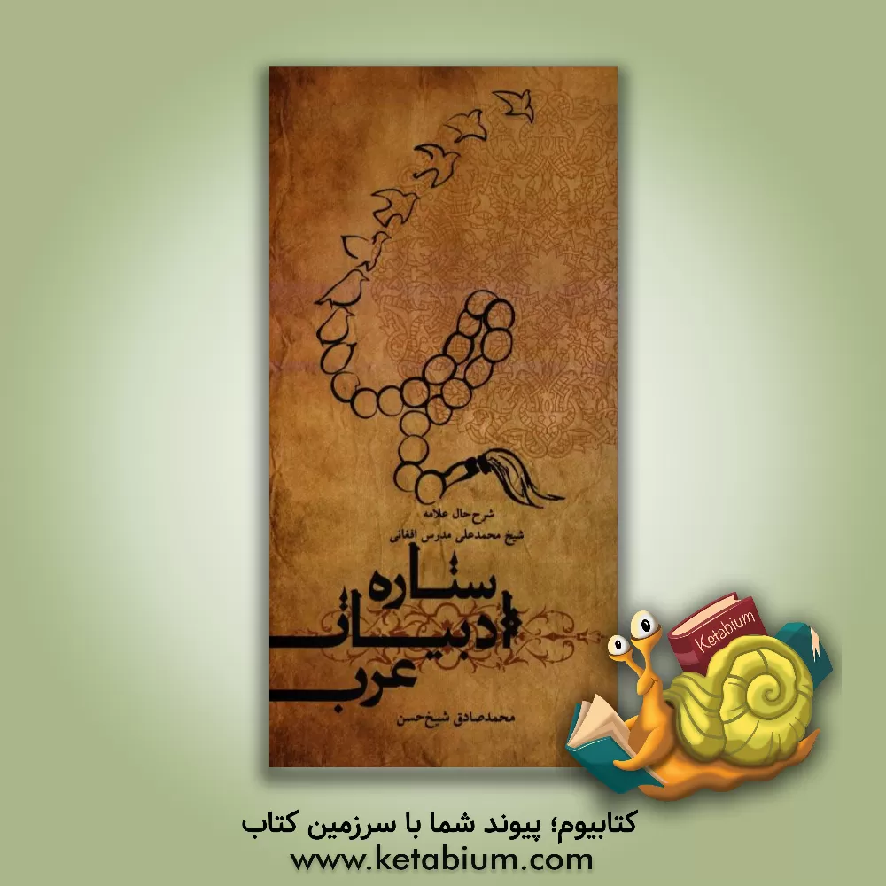 کتاب ستاره ادبیات عرب اثر محمدصادق شیخ‌حسن