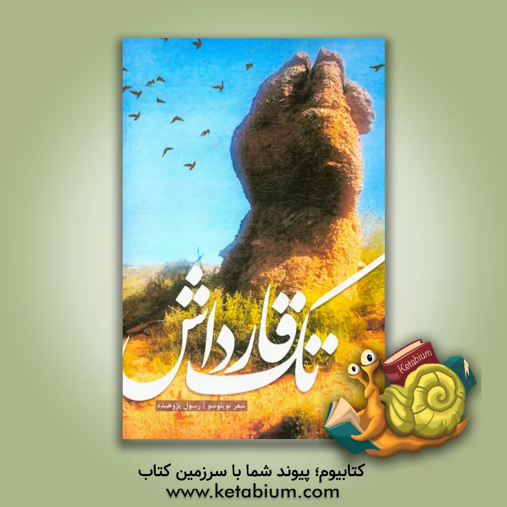 کتاب تک قارداش: شعر توپلوسو اثر رسول پژوهیده