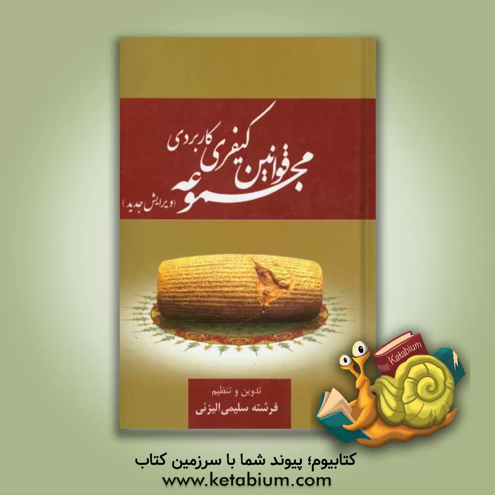 کتاب مجموعه قوانین کیفری کاربردی |اثر فرشته سلیمی الیزئی