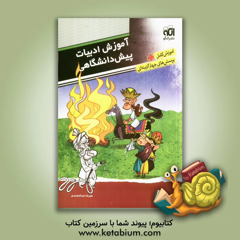 کتاب آموزش ادبیات پیش دانشگاهی: قابل استفاده برای دانش آموزان پیش دانشگاهی و داوطلبان کنکور |اثر علیرضا عبدالمحمدی