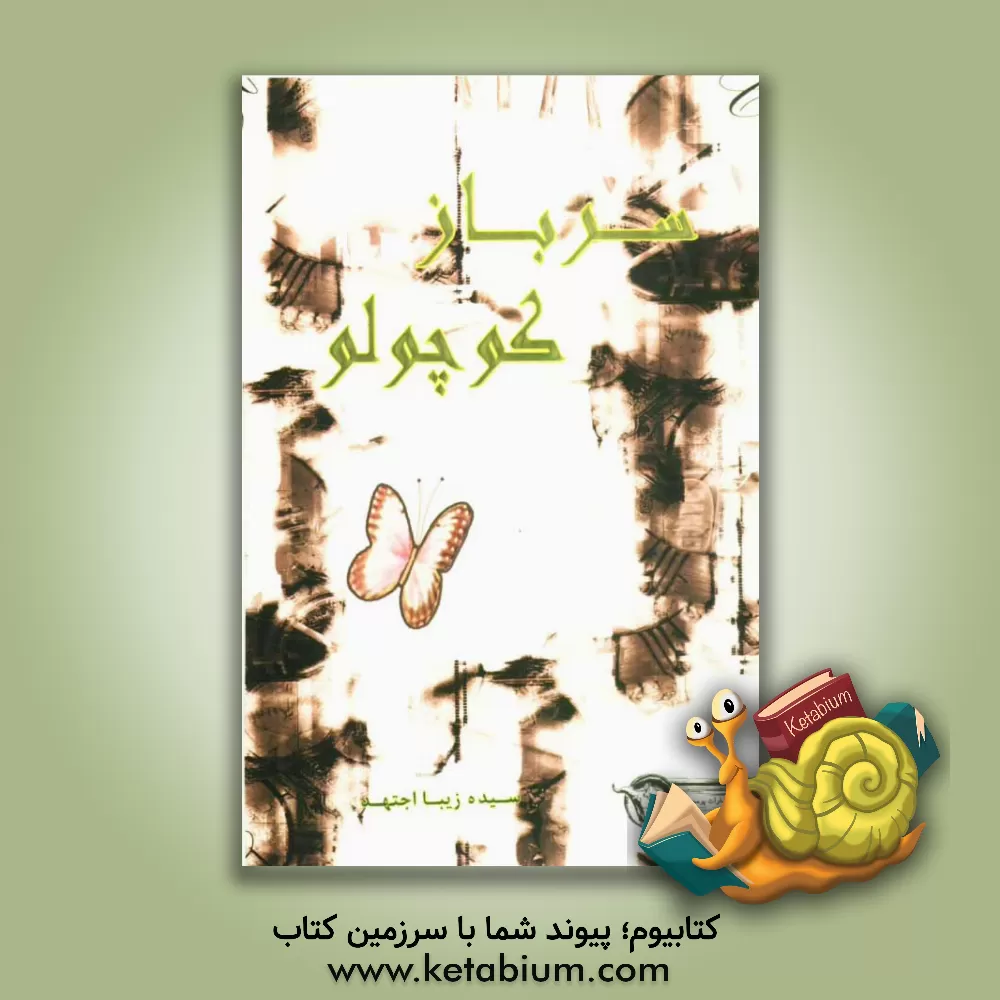 کتاب سرباز کوچولو اثر سیده‌زیبا اجتهد