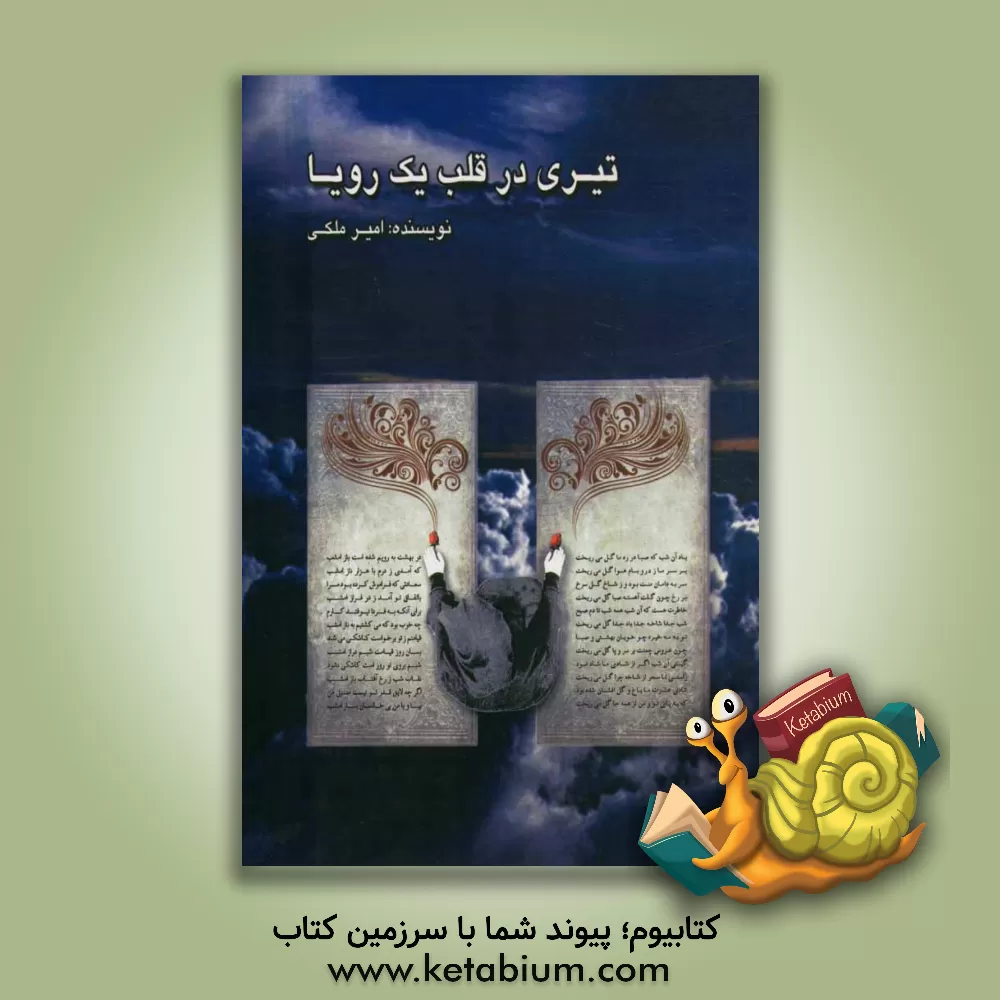 کتاب تیری در قلب یک رویا اثر امیر ملکی