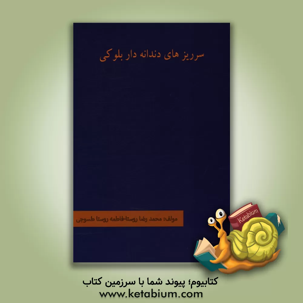 کتاب سرریزهای دندانه دار بلوکی اثر محمدرضا روستا