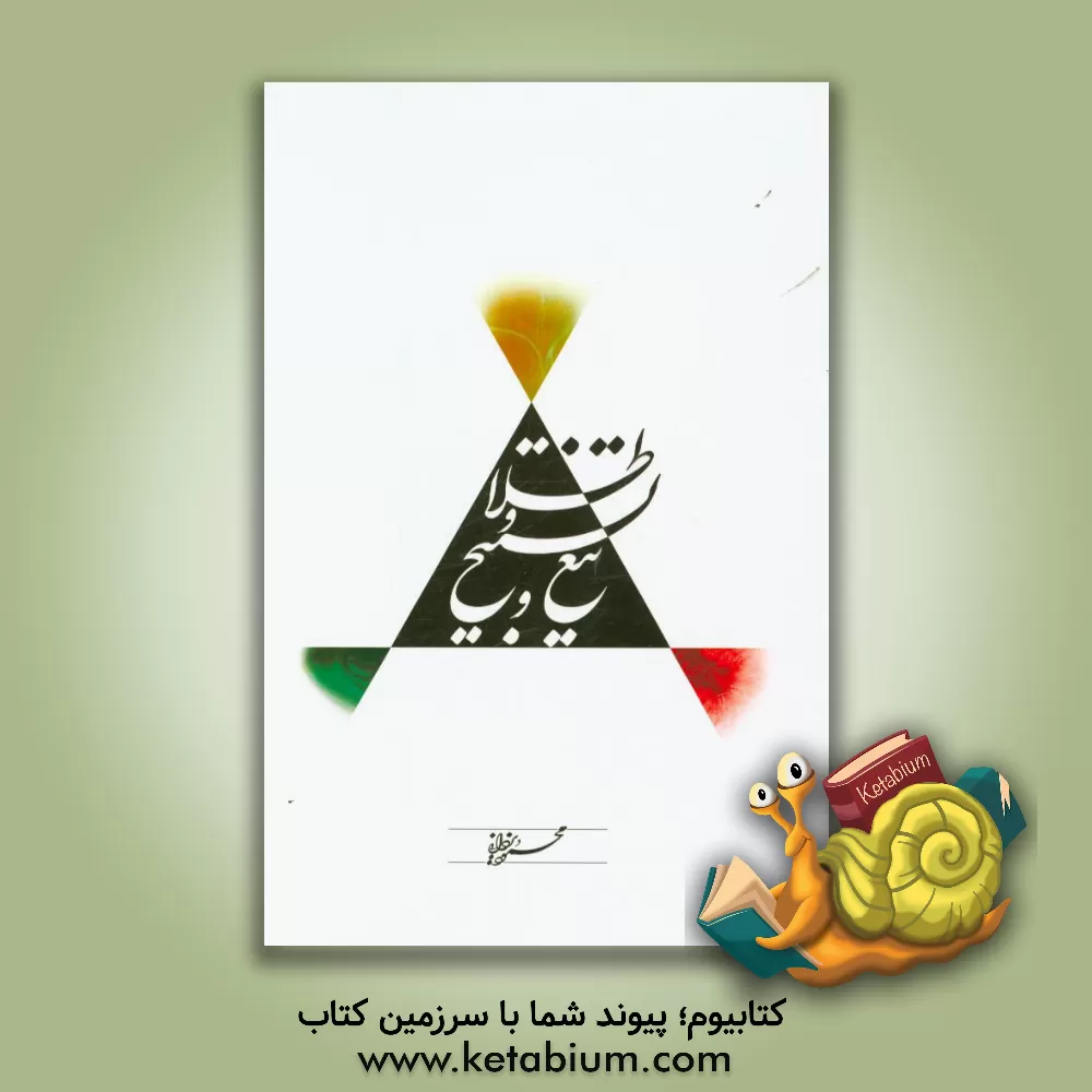 کتاب تیغ و تسبیح و طلا اثر محمود یزدانی