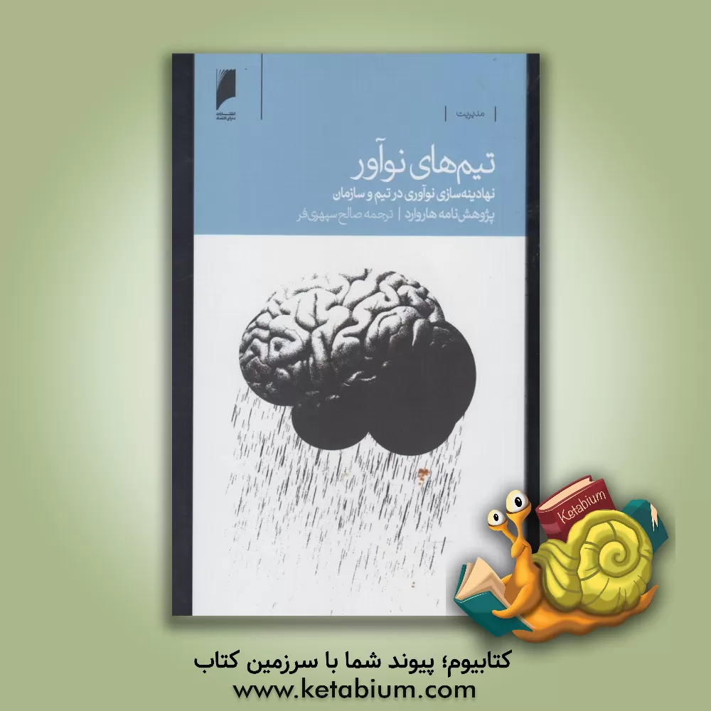 کتاب تیم های نوآور: نهادینه سازی نوآوری در تیم و سازمان اثر صالح سپهری‌فر