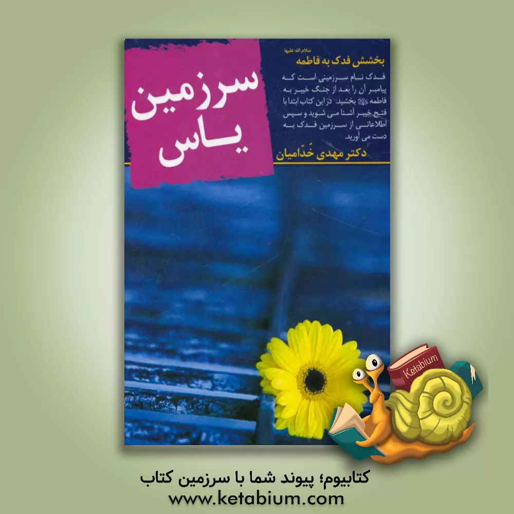 کتاب سرزمین یاس اثر مهدی خدامیان‌آرانی