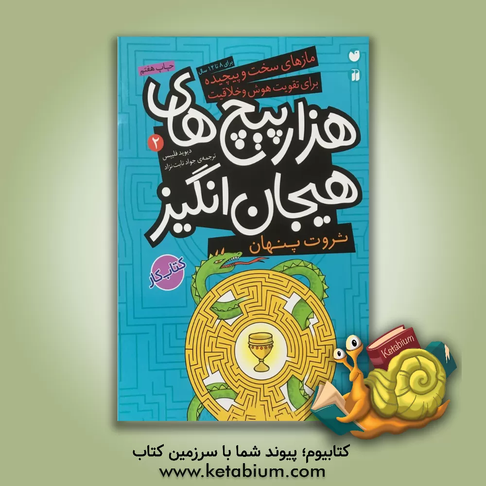 کتاب ثروت پنهان در هزارپیچ های هیجان انگیز اثر دیو فیلیپس