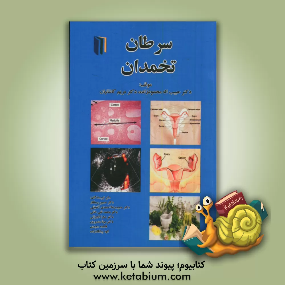 کتاب سرطان تخمدان اثر حمیدرضا احمدی‌آشتیانی