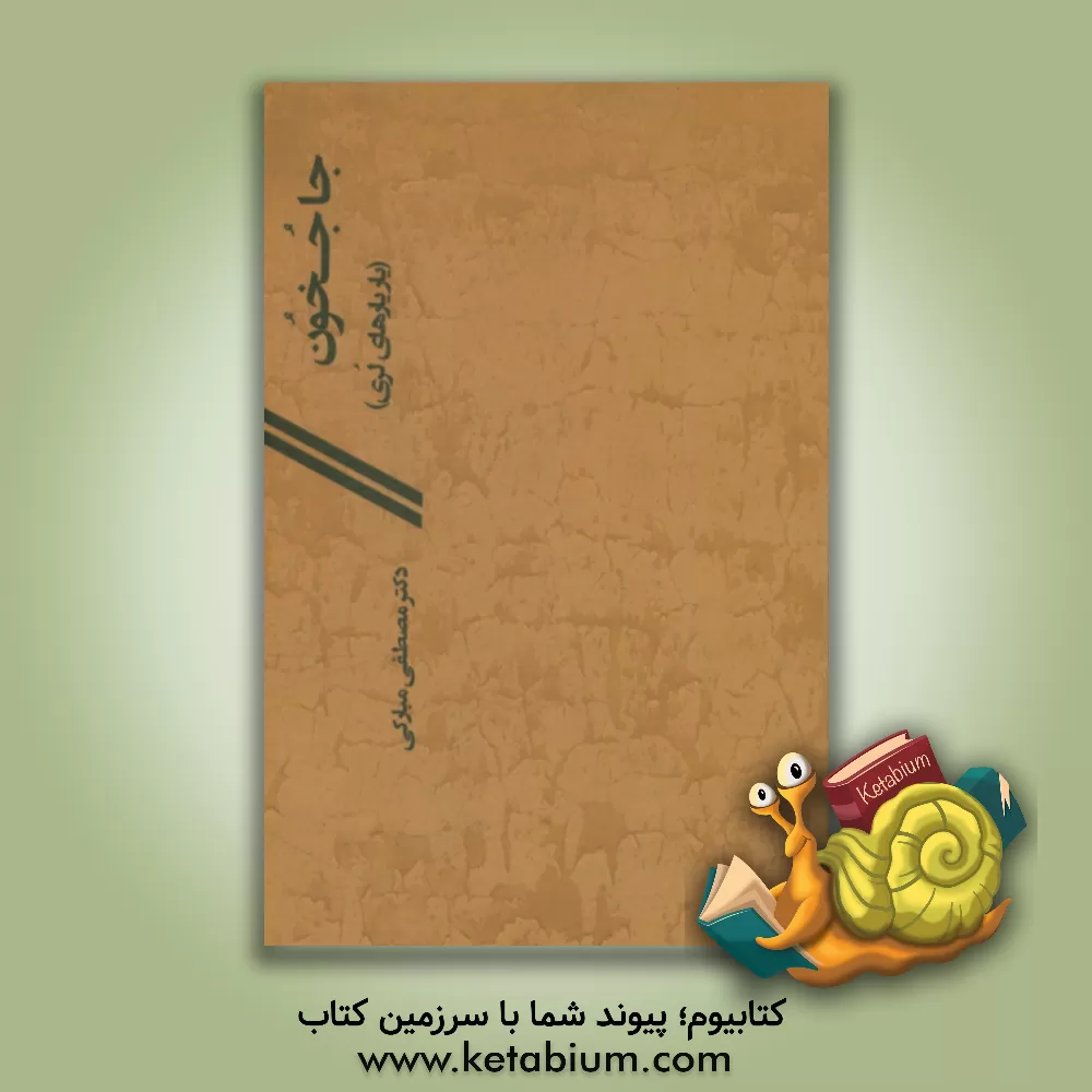 کتاب جا جخون (یار یارهای لری) اثر مصطفی مبارکی