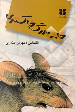 کتاب خانه بزرگ خاکستری اثر مهران کندری