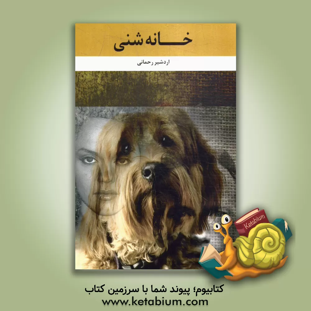 کتاب خانه شنی اثر اردشیر رحمانی