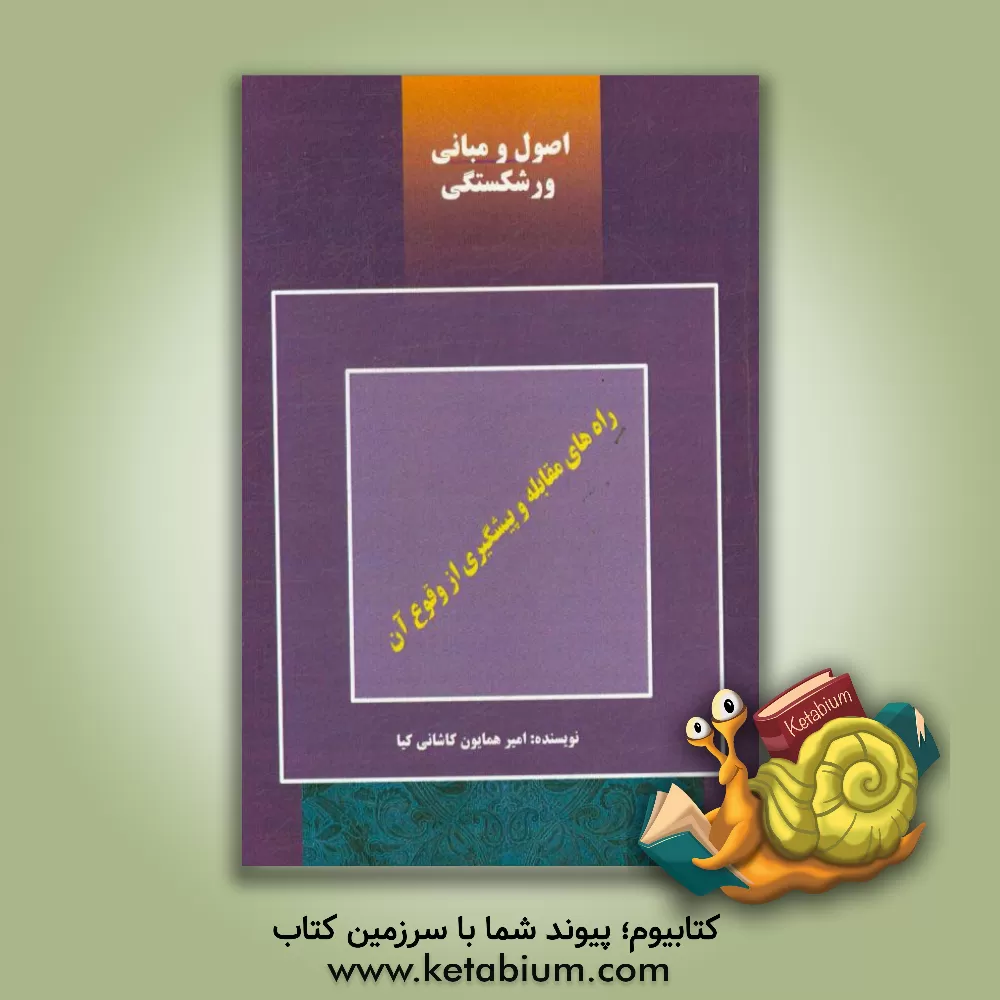 کتاب اصول و مبانی ورشکستگی (با یک داستان واقعی) اثر امیرهمایون کاشانی‌کیا