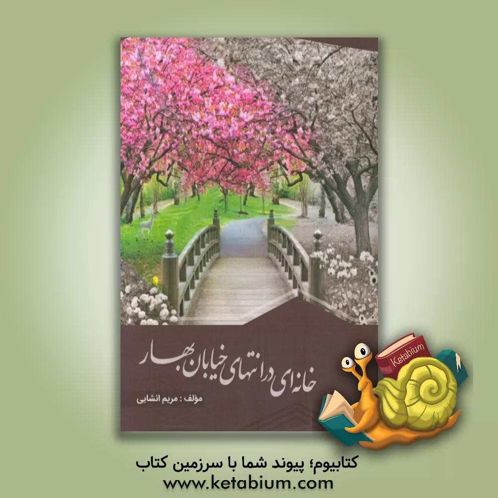 کتاب خانه ای در انتهای خیابان بهار دفتر شعر سوم: 1- پری سرزمین آیینه 2- رویای ستاره نقره ای 3- خانه ای در انتهای خیابان بهار اثر مریم انشایی