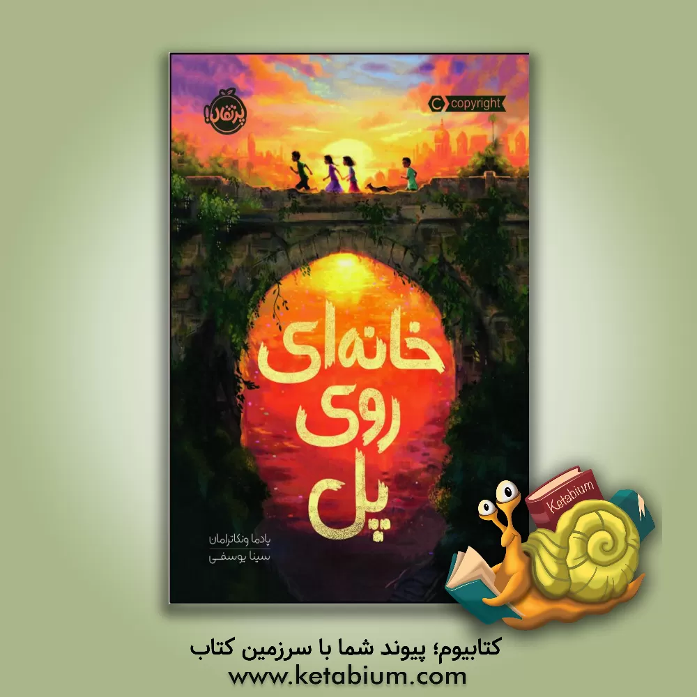 کتاب خانه ای روی پل اثر پادما ونکاترامان