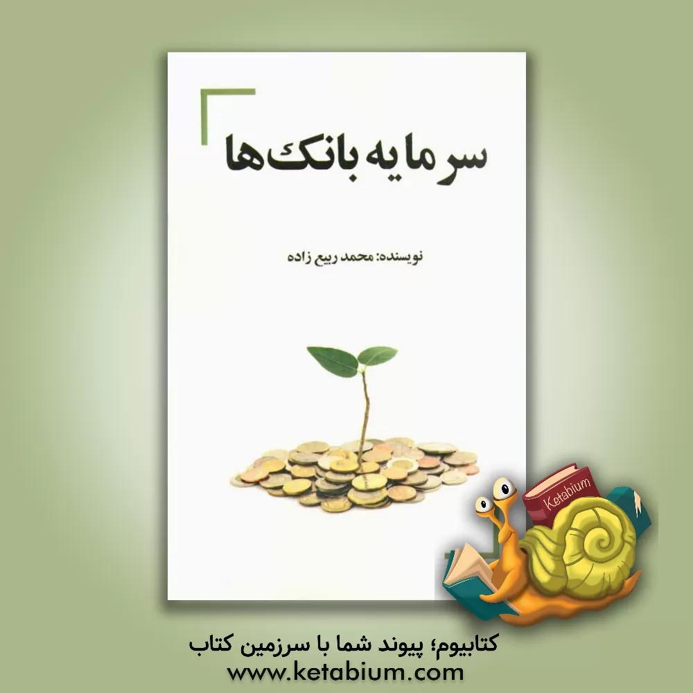 کتاب سرمایه بانک ها اثر محمد ربیع‌زاده