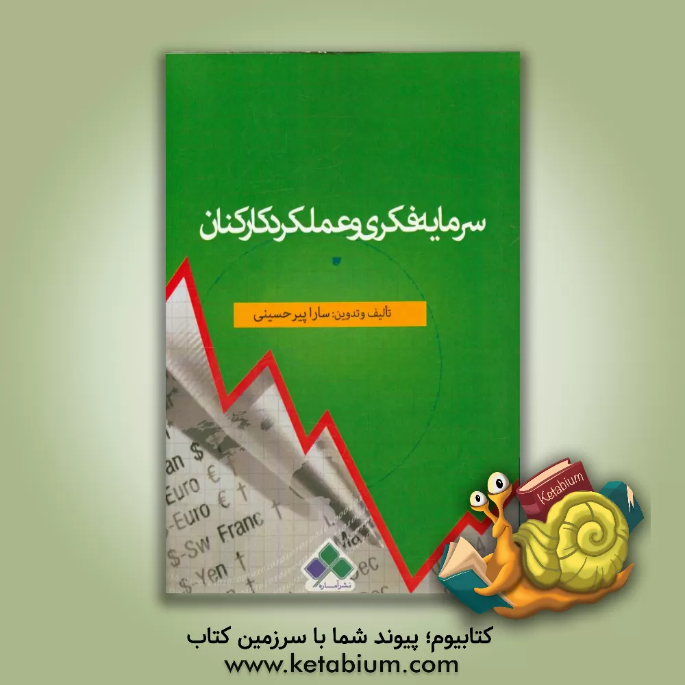 کتاب سرمایه فکری و عملکرد کارکنان اثر سارا پیرحسینی